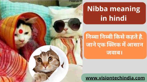 nibba-meaning-in-hindi